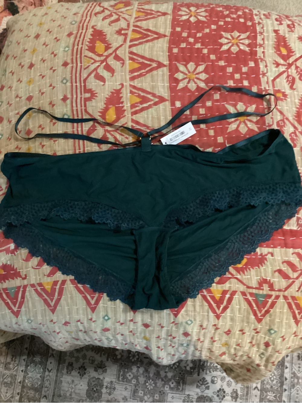 Adore Me Teal Lace-Trim Hipster Panty